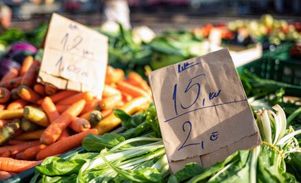 Witold M. Orłowski: Nieszczęśni Chorwaci