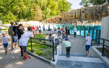 Zoo apeluje, by nie rzucać w zwierzęta i nie karmić ich