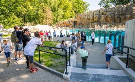 Zoo apeluje, by nie rzucać w zwierzęta i nie karmić ich