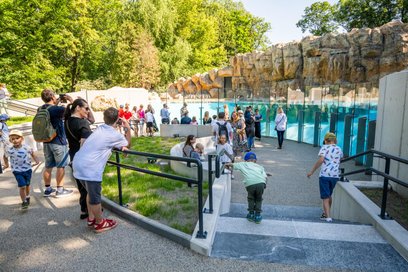 Zoo apeluje, by nie rzucać w zwierzęta i nie karmić ich