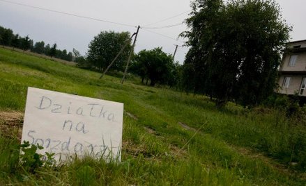 Ziemię kupują u nas Ukraińcy