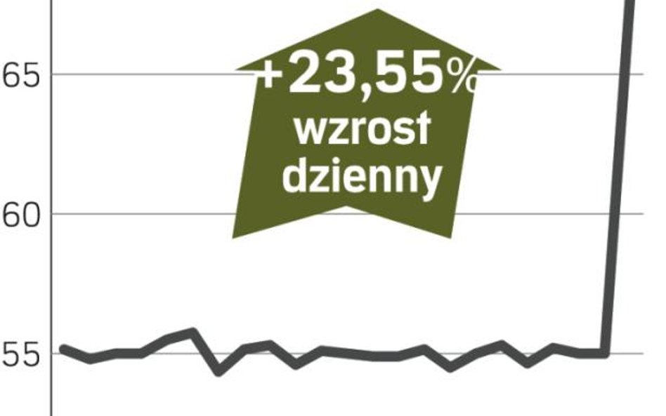 Avia Solutions Group mocno zdrożała