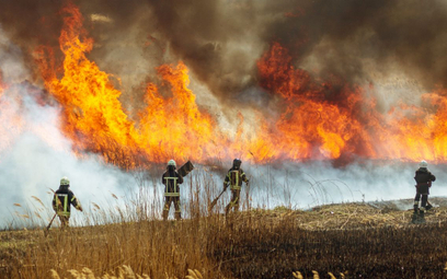 BBC uczy dzieci o „pozytywnych skutkach zmian klimatu”