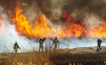 BBC uczy dzieci o „pozytywnych skutkach zmian klimatu”