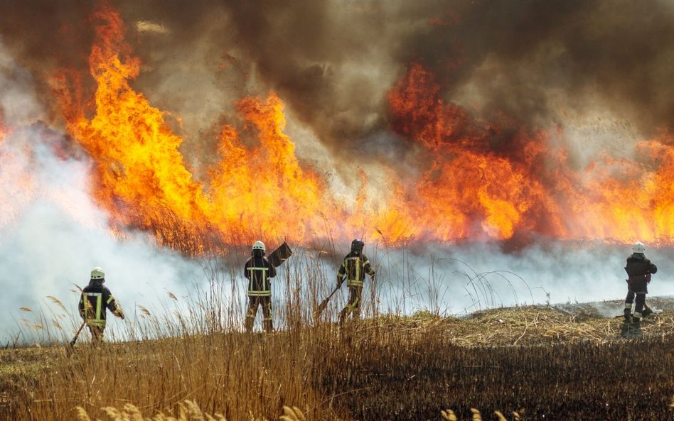 BBC uczy dzieci o „pozytywnych skutkach zmian klimatu”