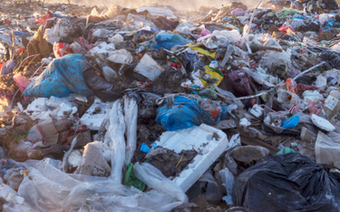 Na arktycznym wybrzeżu są śmieci z całego świata