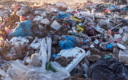 Na arktycznym wybrzeżu są śmieci z całego świata