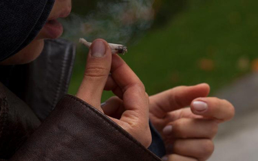 Blisko 3/4 młodzieży ma kontakt z narkotykami poprzez palenie marihuany.