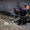 Zagraniczmi pracownicy ładują ziemniaki do sadzenia na farmie pod Kołomną w obwodzie moskiewskim, Ro