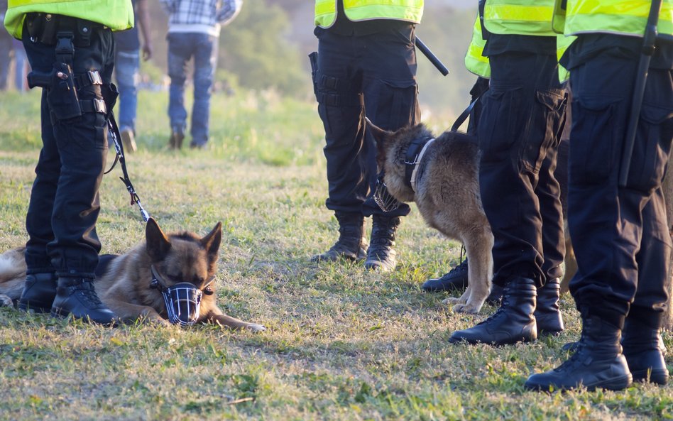 Pies i koń dostaną emeryturę po służbie