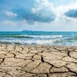 Eksperci podkreślają, że tak wysokie temperatury mórz i oceanów stanowią poważne zagrożenie dla loka
