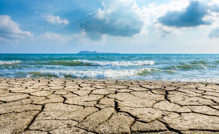 Eksperci podkreślają, że tak wysokie temperatury mórz i oceanów stanowią poważne zagrożenie dla loka