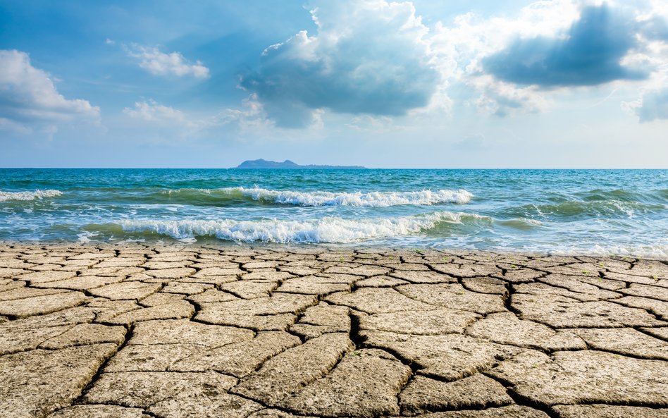 Eksperci podkreślają, że tak wysokie temperatury mórz i oceanów stanowią poważne zagrożenie dla loka