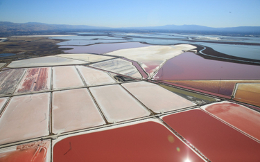 Cargill jest dużym produkcją soli. Na zdjęciu specjalne stawy w Kalifornii