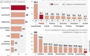 Zabezpieczenia przed atakami hakerów w Polsce są dziurawe jak sito