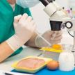 Według epidemiologów problem ze zwiększeniem częstotliwości występowania salmonellozy u ludzi nasili