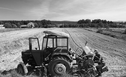 Agroton skupia się na uprawie zbóż, hodowli zwierząt oraz przetwórstwie żywności