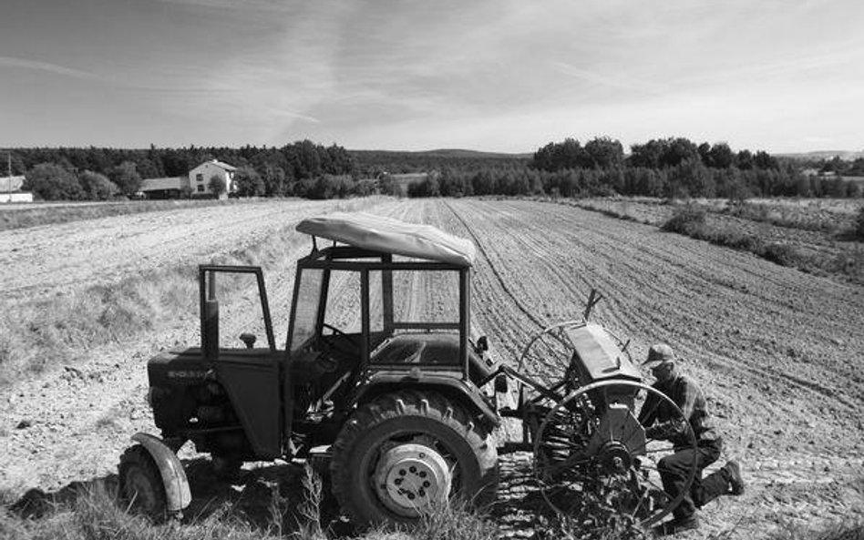 Agroton skupia się na uprawie zbóż, hodowli zwierząt oraz przetwórstwie żywności