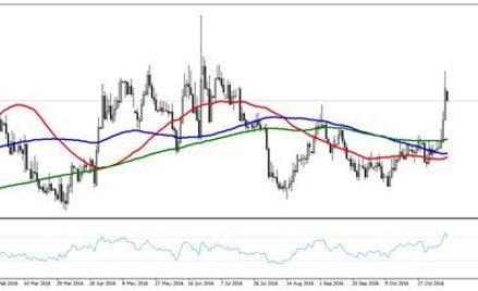 Echa zwycięstwa Donalda Trumpa