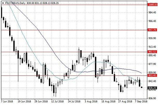 Notowania soi w USA – dane dzienne