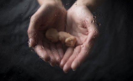 Lekarze będą informować rodziców o hospicjach perinatalnych