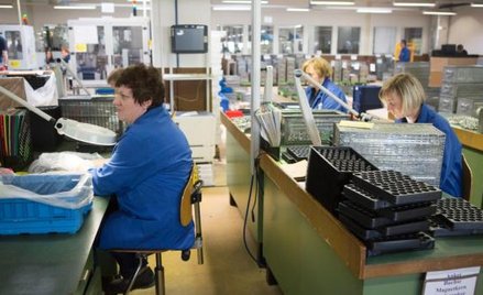 Padł rekord zatrudnienia