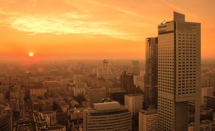 Polskie firmy technologiczne coraz śmielej idą w świat