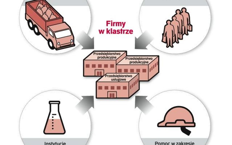 Jaką formę działalności wybrać dla klastra