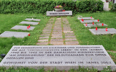 Pomnik dzieci, które poddane zostały eutanazji w klinice Am Spiegelgrund w Wiedniu
