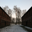 "Polska dla Polaków" na drzwiach włoskiego przewodnika po Auschwitz
