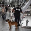 Niebawem możemy się obudzić w świecie, po którym mimo surowych kar i policyjnych możliwości jedynie 