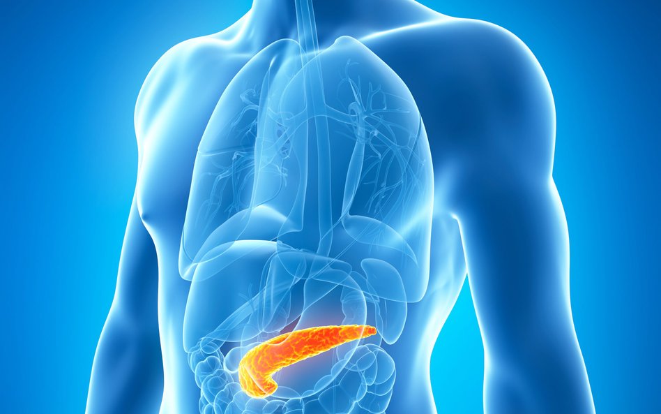Nieprawidłowo funkcjonująca trzustka odpowiada m.in. za cukrzycę typu I. Cierpi na nią ponad 200 tys