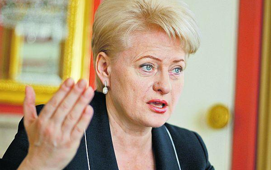 Prezydenci Litwy i Polski – Dalia Grybauskaite i Bronisław Komorowski – rozmawiali m.in. o rafinerii