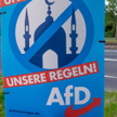 Kontrowersyjny sojusznik Prawa i Sprawiedliwości