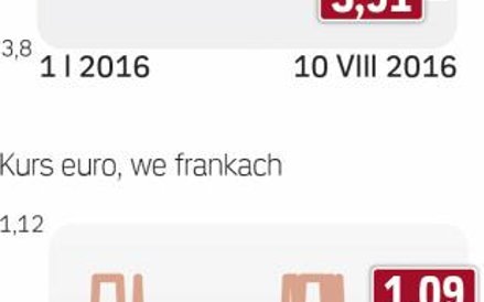 Złoty w dobrej formie