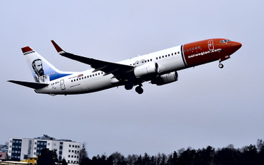 Finlandia: Ptaki uziemiły samolot pasażerski