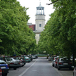 Urokliwa uliczka będzie w niedzielę kawałkiem Holandii