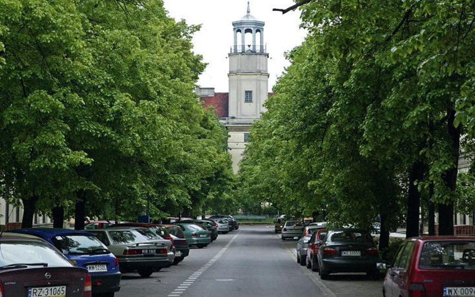 Urokliwa uliczka będzie w niedzielę kawałkiem Holandii