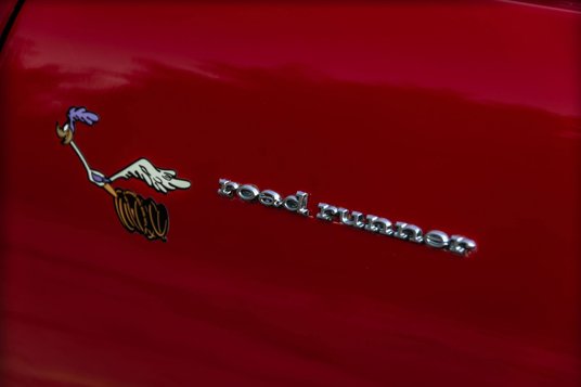 Nazwa Road Runner zapożyczona została od rysunkowego strusia.