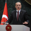 Recep Tayyip Erdogan: Dla Zachodu zwierzęta ważniejsze niż Syria
