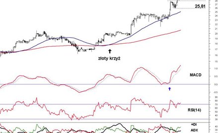 Graal najwyżej od 2008 r.