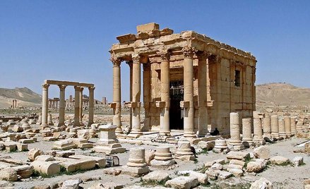 Creative Commons Attribution-Share Alike 3.0 Unported, 2.5 Generic, 2.0 Generic and 1.0 Generic lice