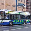 Większość kupowanych przez miasta autobusów jest już ekologiczna