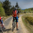 Dolny Śląsk: Chcemy być najbardziej rowerowym regionem w Polsce