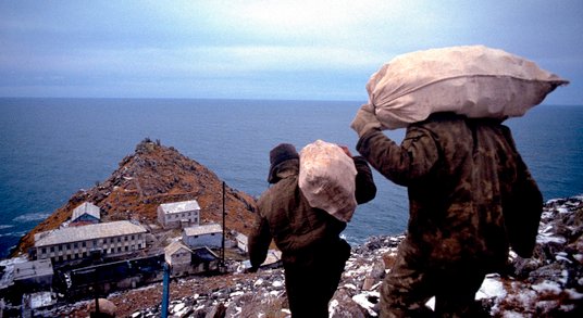 Rozładunek przywiezionej żywności