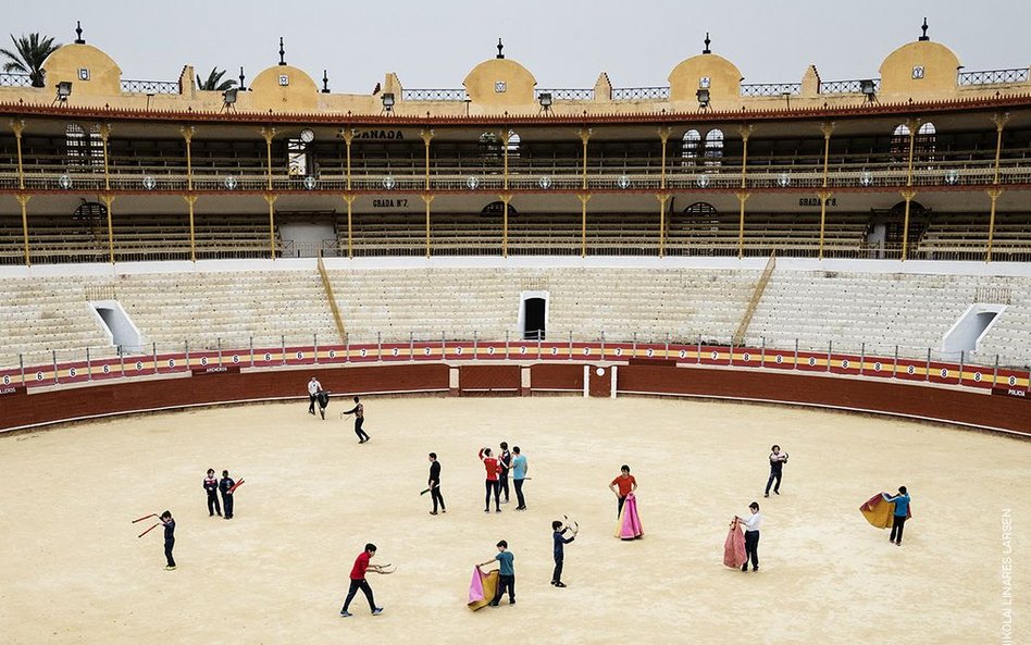 Nikolai Linares Larsen, "The Boys and the Bulls"