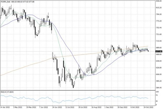 Notowania kukurydzy w USA – dane dzienne