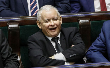 Sondaż: PiS wciąż na czele, Konfederacja w Sejmie