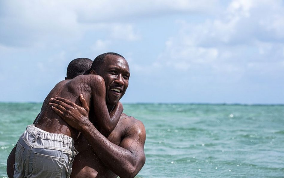 Barry Jenkins, "Moonlight"