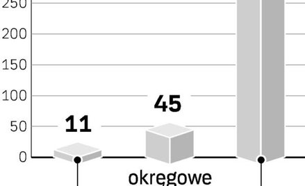 Finanse Temidy w rękach najlepszych specjalistów